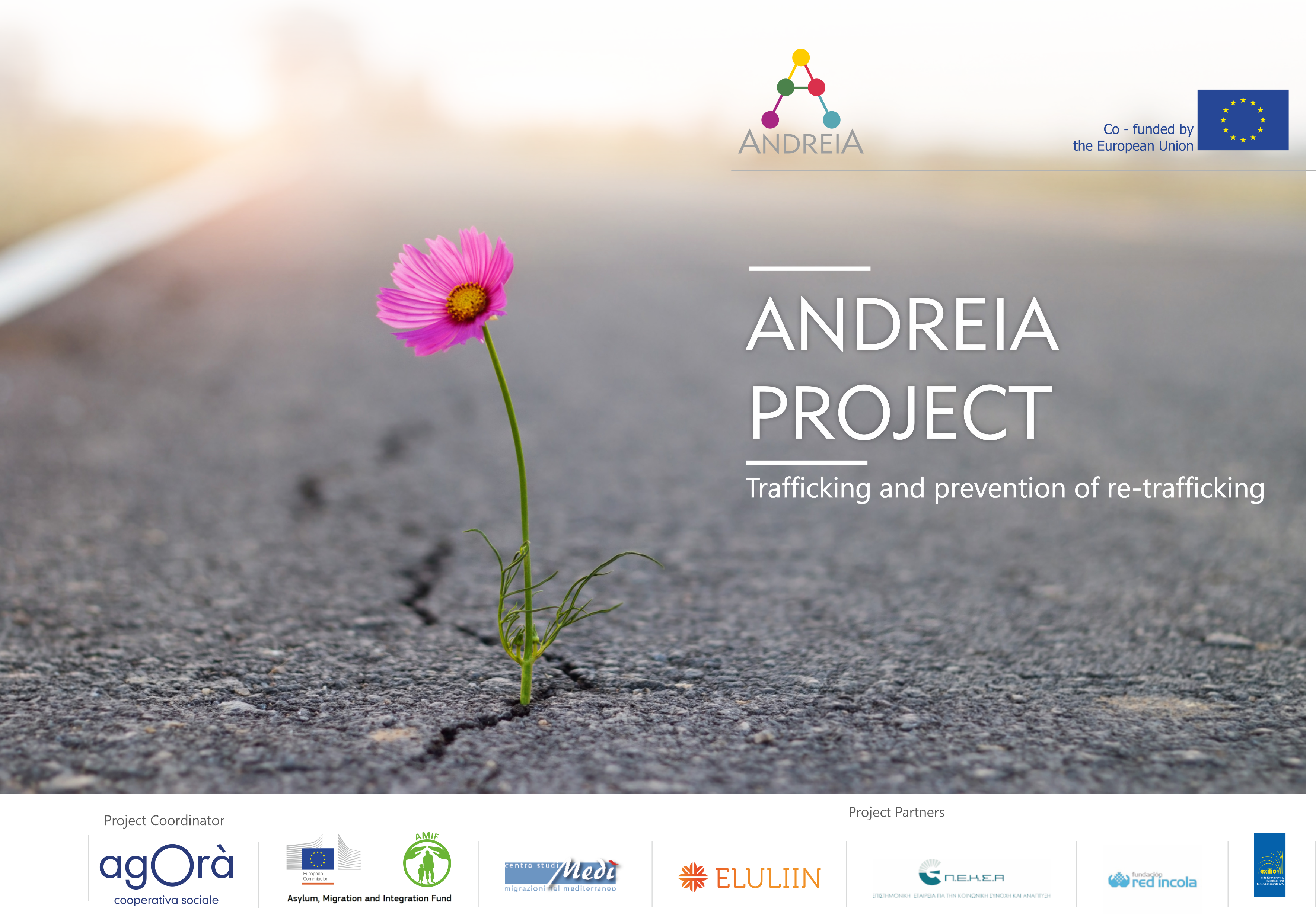 Immagine progetto Andreia